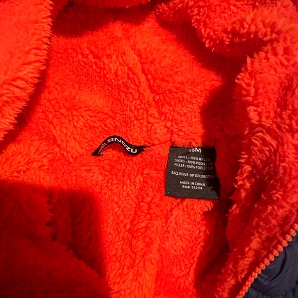 18M Snow Bunting - Picture 4 of 7